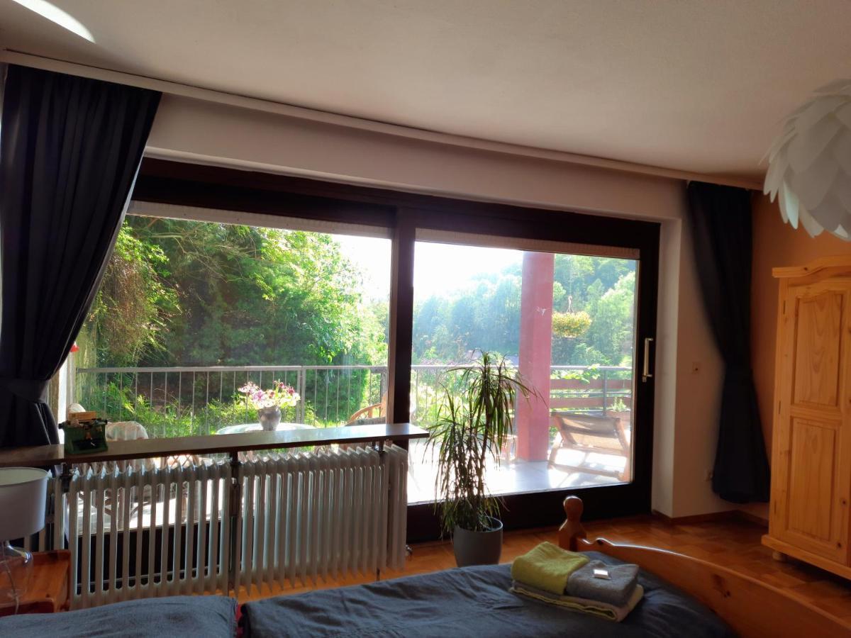 Ferienwohnung Rhododendron - Natur Pur Am Highwalk Rotenburg an der Fulda Zewnętrze zdjęcie