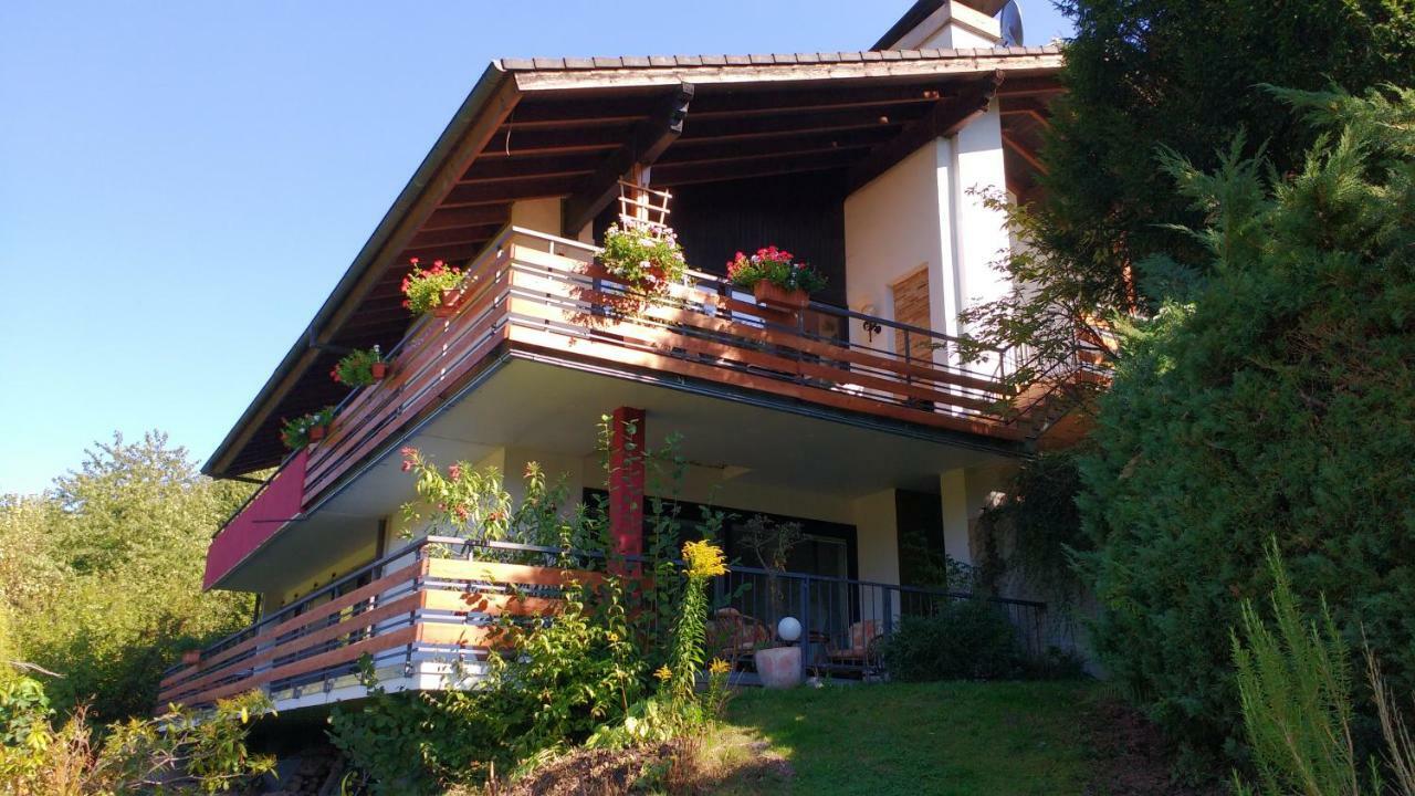 Ferienwohnung Rhododendron - Natur Pur Am Highwalk Rotenburg an der Fulda Zewnętrze zdjęcie