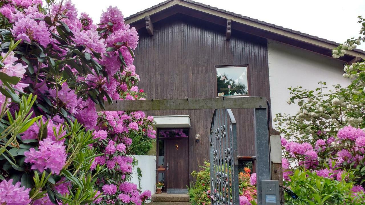 Ferienwohnung Rhododendron - Natur Pur Am Highwalk Rotenburg an der Fulda Zewnętrze zdjęcie